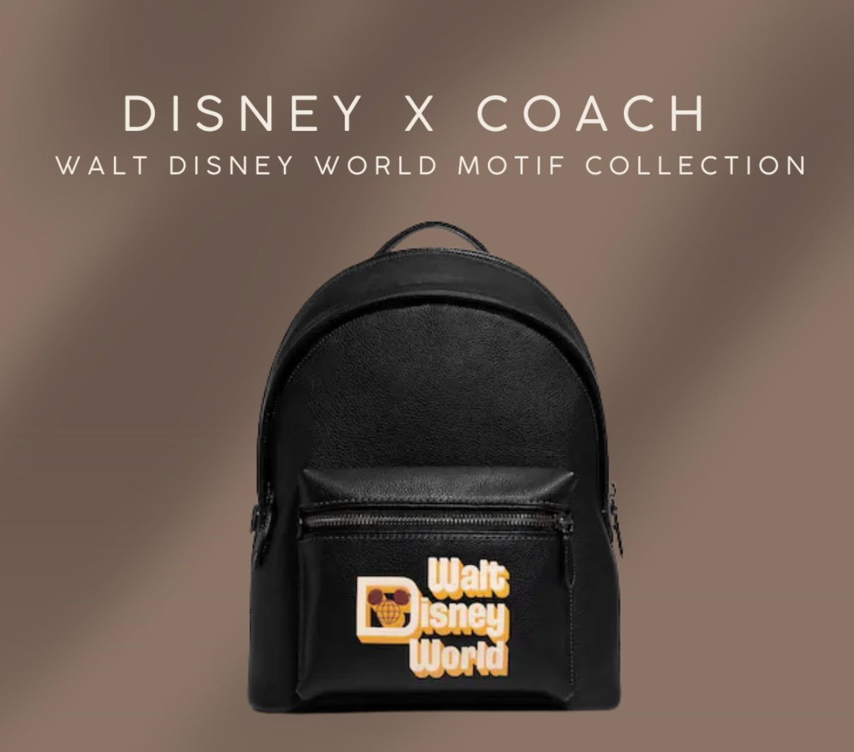 Disney X Coach Charter Backpack With Walt Disney World